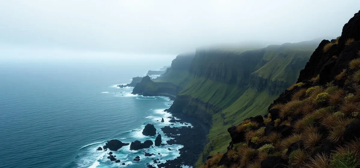 Costa da Madeira